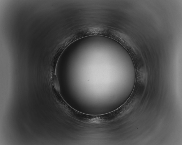 X0000097950505200803241156