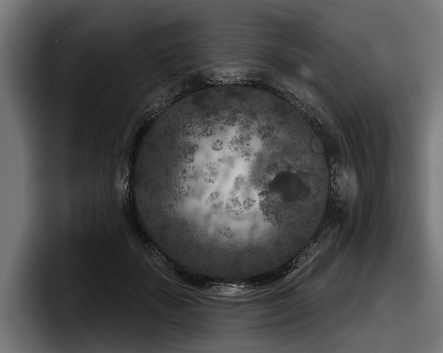 X0000097950507200803241156