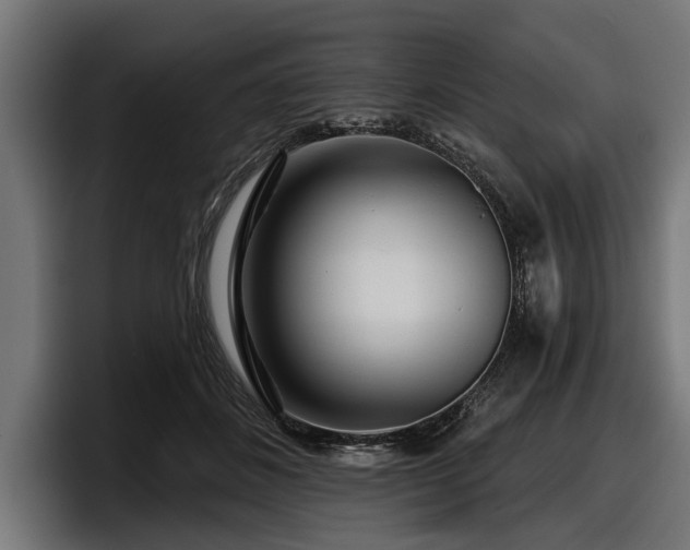 X0000097950508200803241156