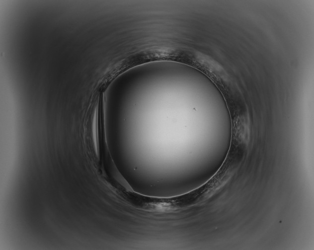 X0000097950509200803241156