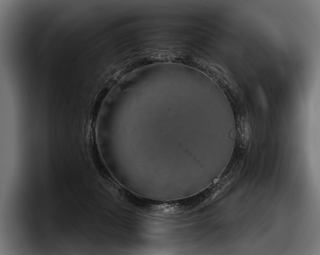 X0000097950511200803241156