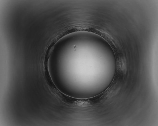 X0000097950512200803241156