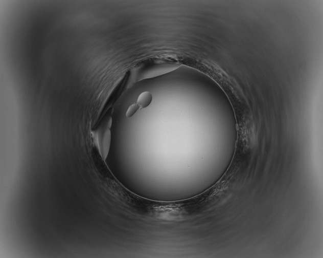 X0000097950516200803241156