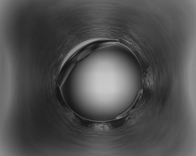 X0000097950520200803241156