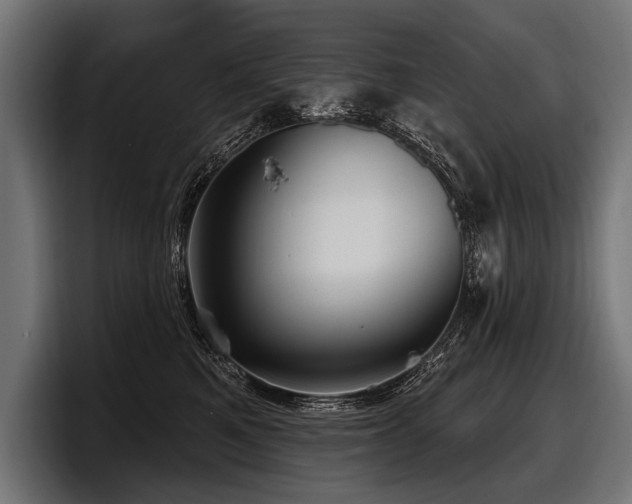 X0000097950521200803241156