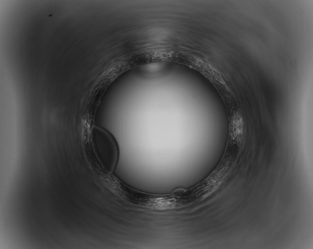 X0000097950522200803241156