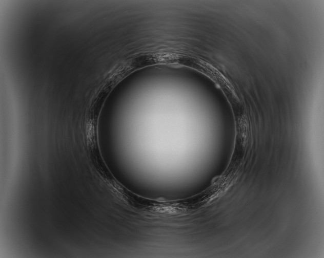 X0000097950523200803241156