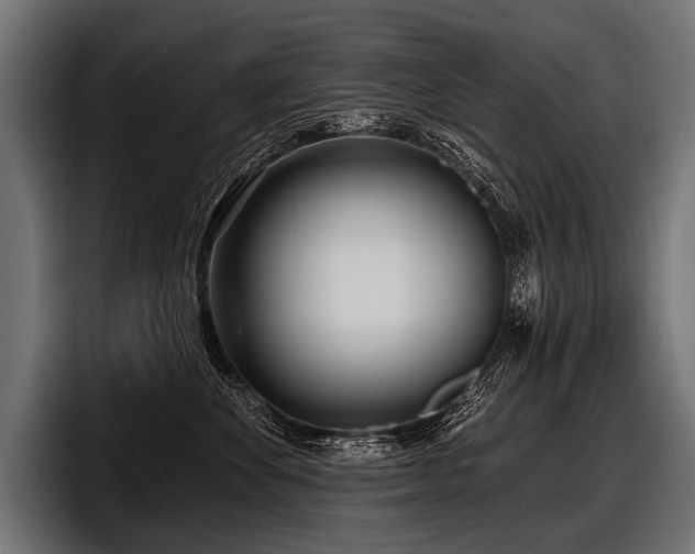 X0000097950524200803241156
