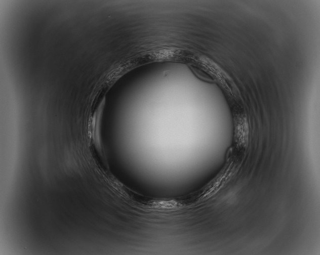 X0000097950525200803241156