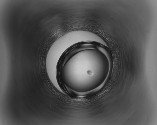 X0000097950528200803241156