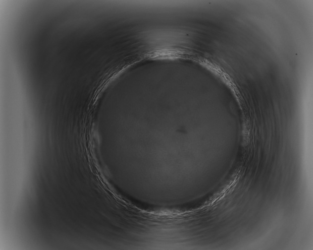X0000097950529200803241155