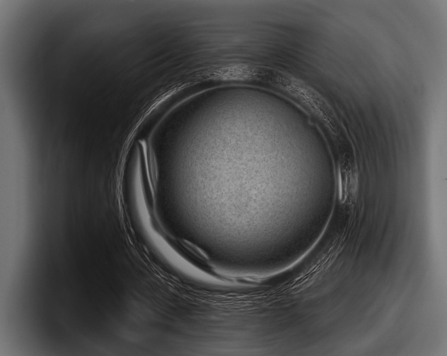 X0000097950531200803241155