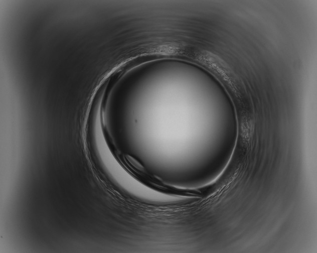 X0000097950532200803241155