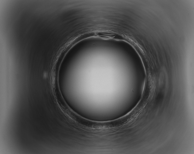 X0000097950533200803241155