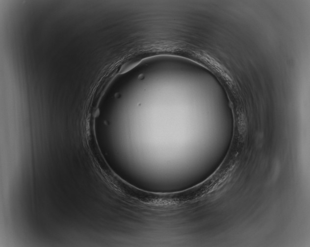 X0000097950537200803241155