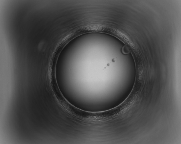 X0000097950538200803241155