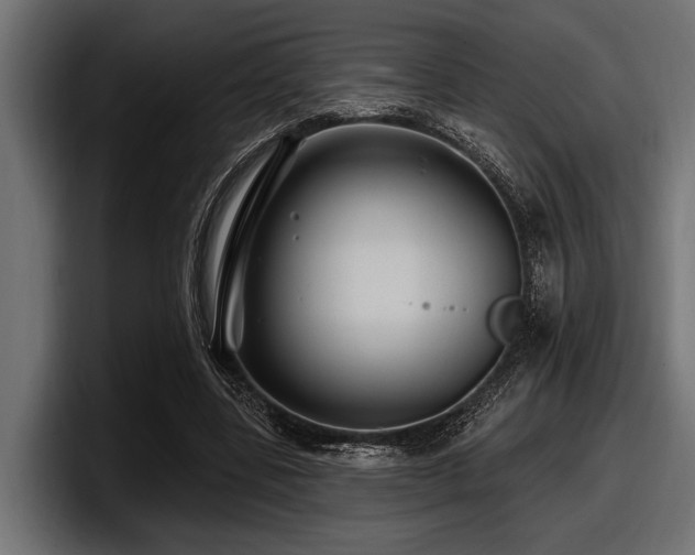 X0000097950539200803241155