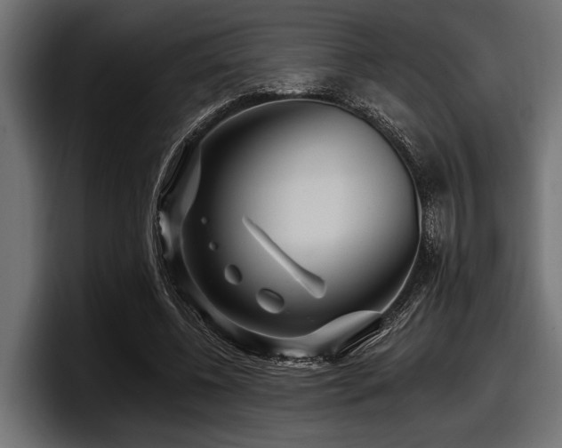 X0000097950540200803241155