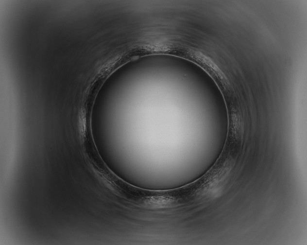 X0000097950541200803241155