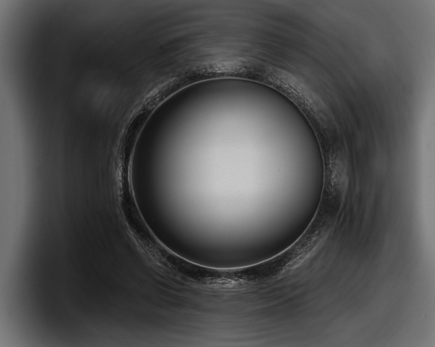 X0000097950542200803241155