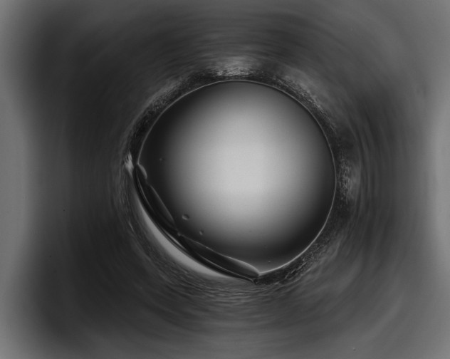 X0000097950543200803241155