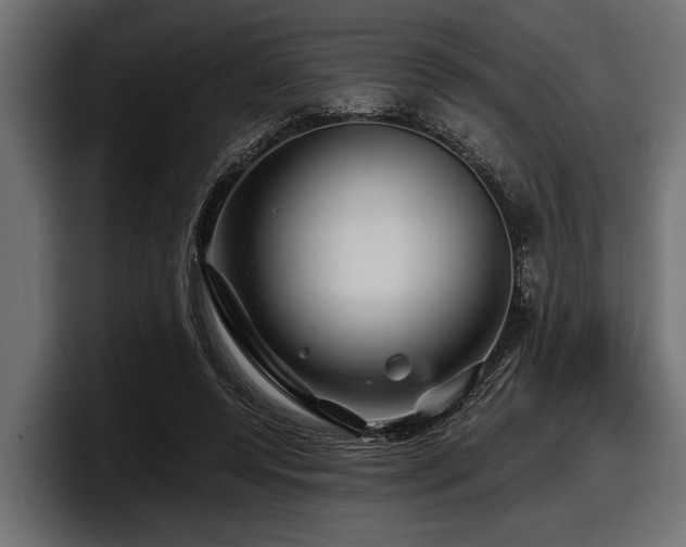X0000097950544200803241155