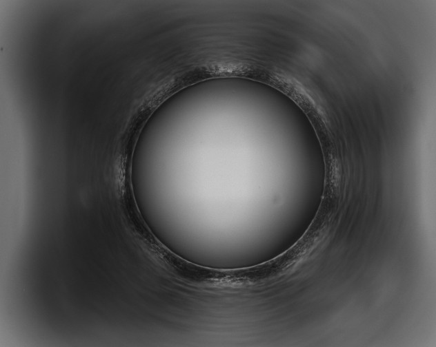 X0000097950545200803241155
