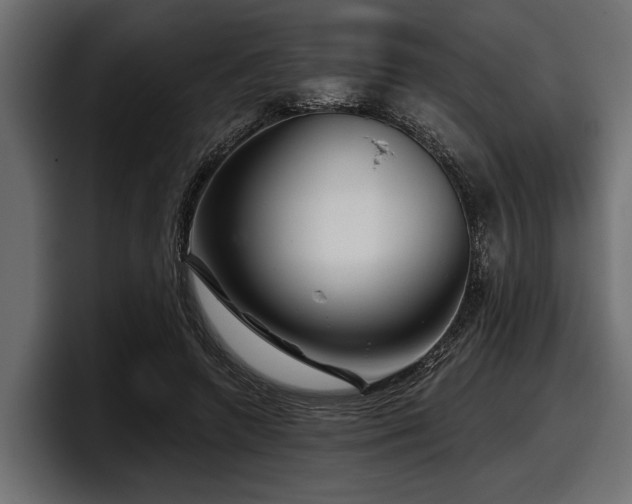 X0000097950546200803241155