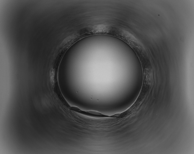 X0000097950550200803241155