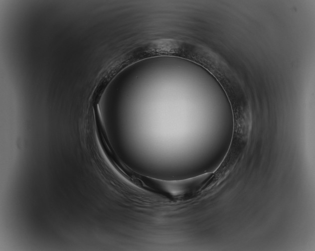 X0000097950552200803241155