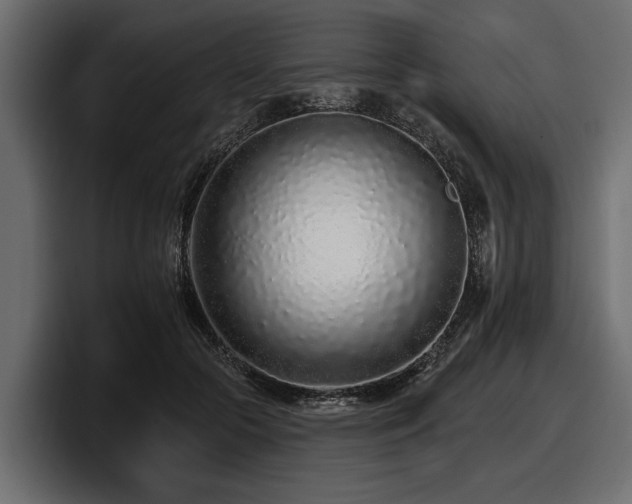 X0000097950553200803241155