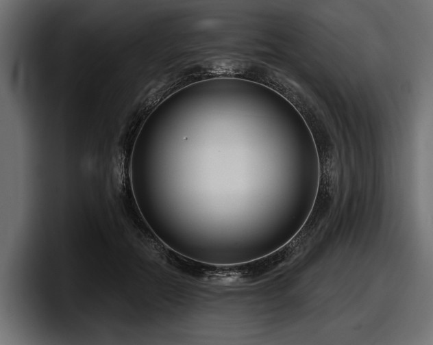 X0000097950554200803241155