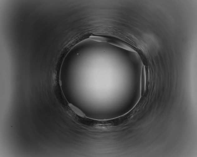 X0000097950556200803241156