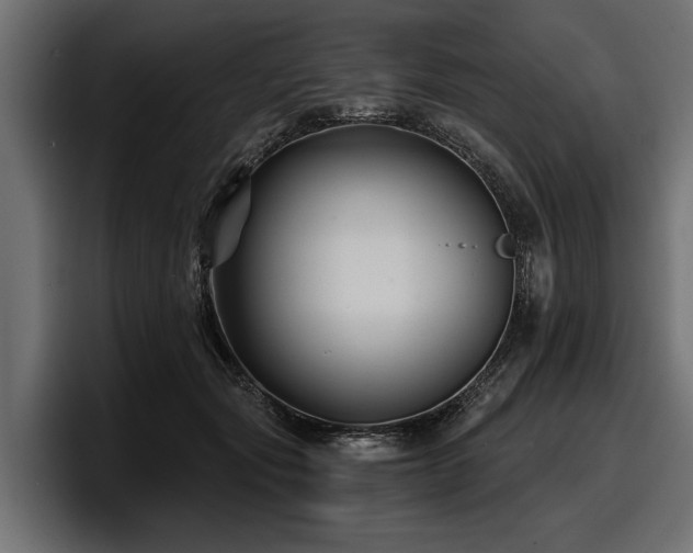 X0000097950557200803241156