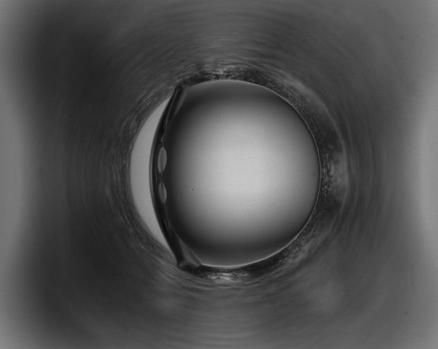 X0000097950558200803241156