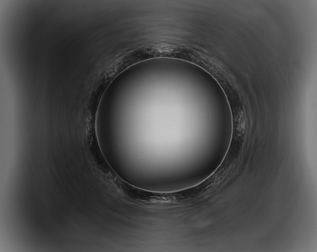 X0000097950559200803241156