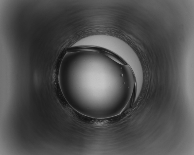 X0000097950560200803241156