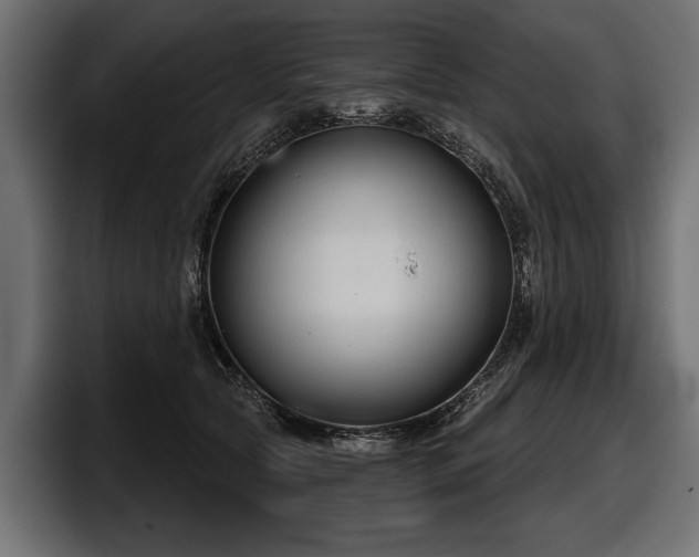 X0000097950561200803241156