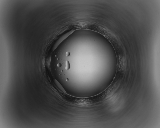 X0000097950562200803241156