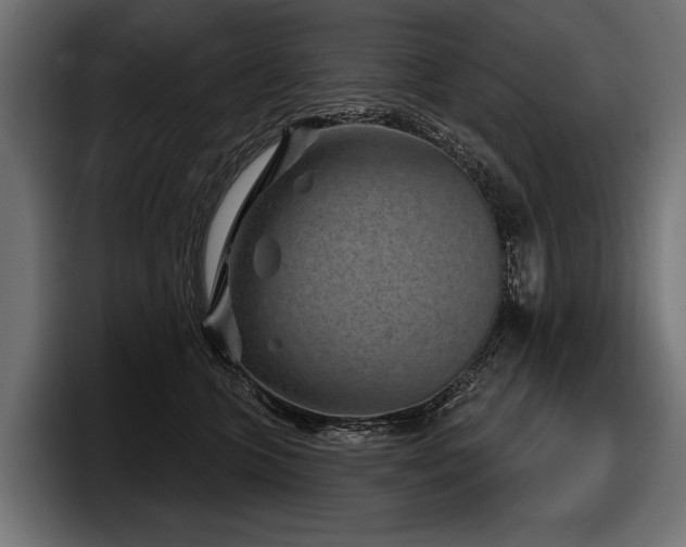 X0000097950563200803241156