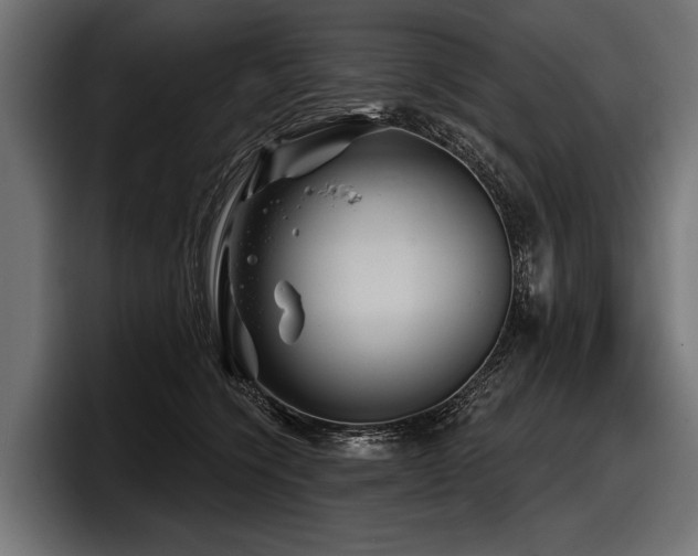 X0000097950564200803241156