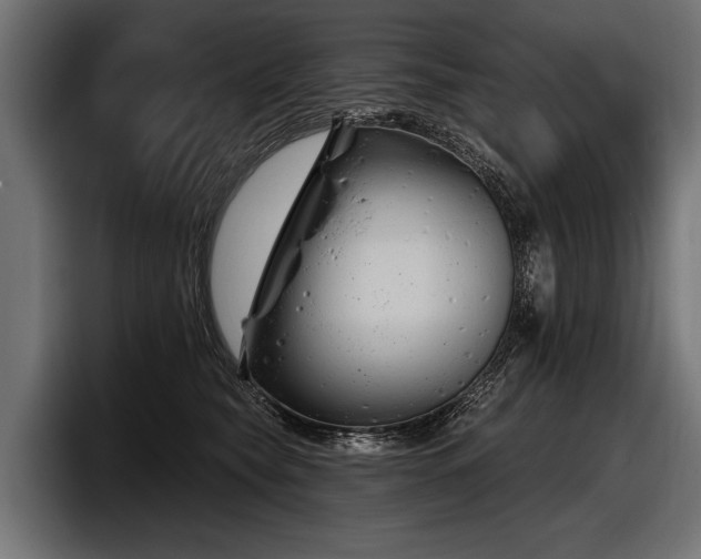 X0000097950565200803241156