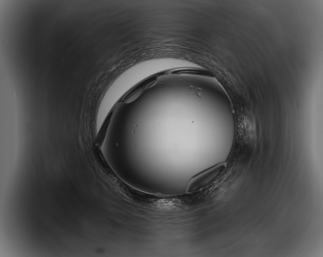 X0000097950566200803241156