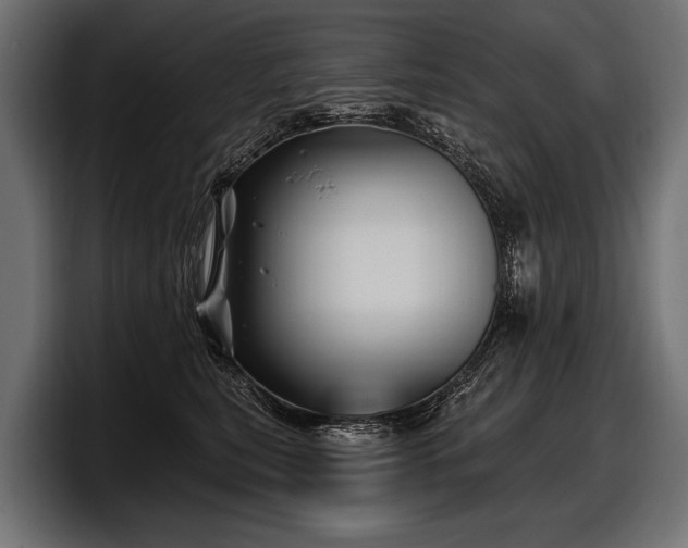 X0000097950567200803241156
