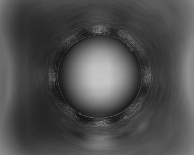 X0000097950569200803241156