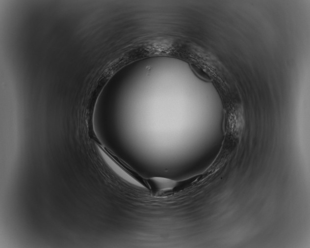 X0000097950570200803241156