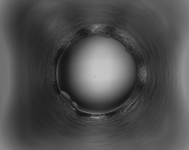 X0000097950571200803241156