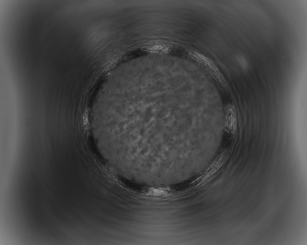 X0000097950573200803241156