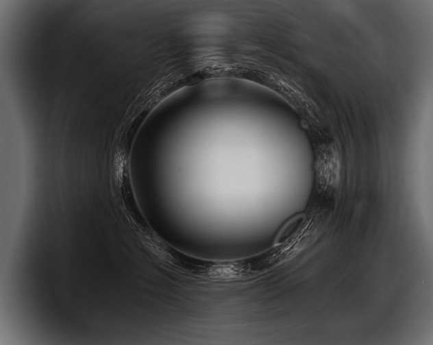 X0000097950574200803241156