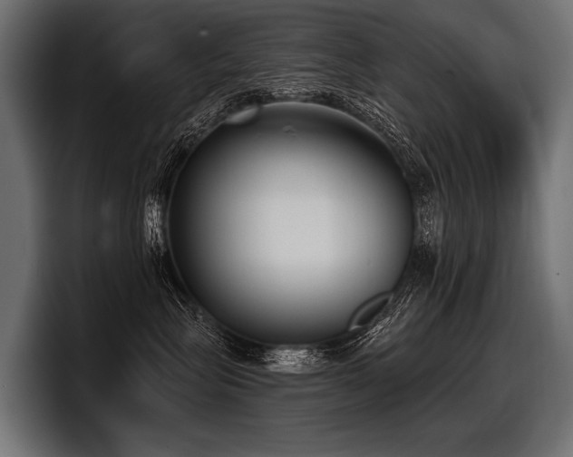 X0000097950575200803241156